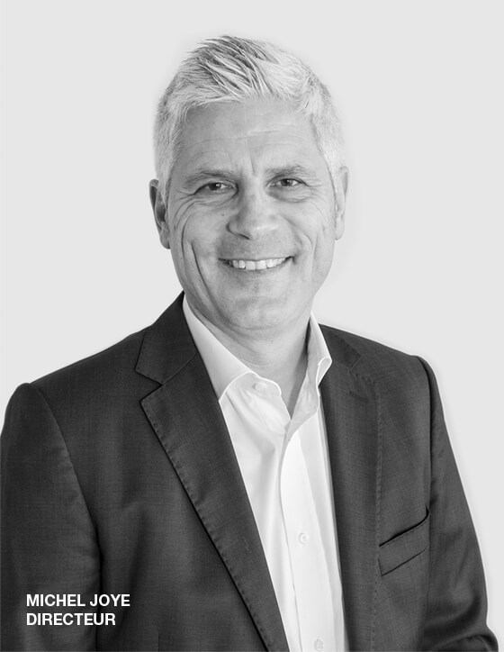 Michel Joye, Directeur des tl